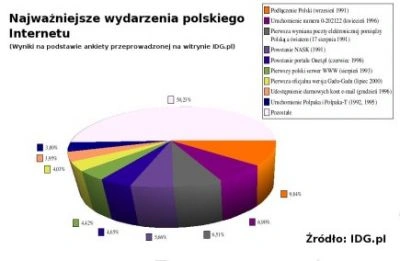 Polski Internet - jak było, a jak będzie?