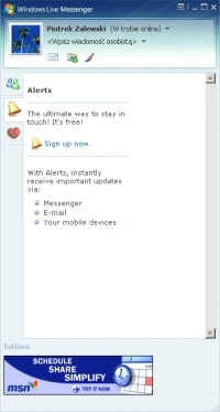 MSN: najpierw usługi Live, później portal