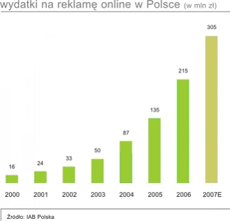IAB: Polski internet w 2006 r.