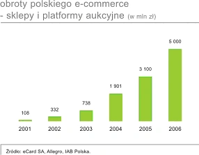<p>IAB: Polski internet w 2006 r.</p>