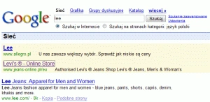 <p>Polskie Google i wątpliwe etycznie reklamy</p>