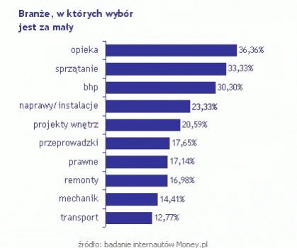 <p>Rynek usług w polskim internecie</p>